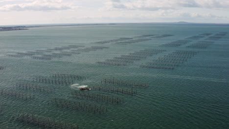 Aerial-drone-shot-of-a-fisherman-boat-working-in-the-oyster-farms-Bassin-de-Thau